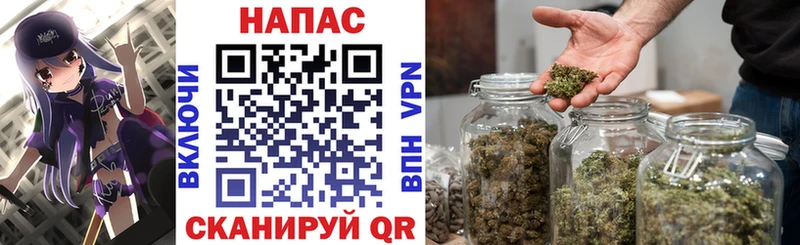 Каннабис план  Россошь 